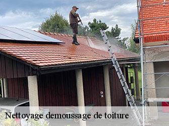 Nettoyage demoussage de toiture  42520