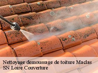 Nettoyage demoussage de toiture