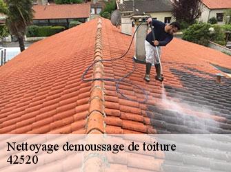 Nettoyage demoussage de toiture  42520