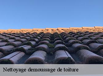 Nettoyage demoussage de toiture