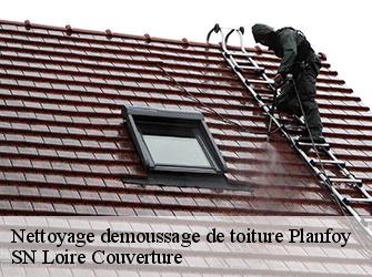 Nettoyage demoussage de toiture  42660