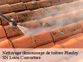 Nettoyage demoussage de toiture