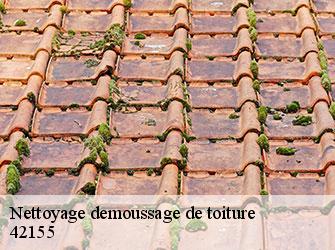 Nettoyage demoussage de toiture