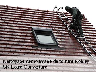 Nettoyage demoussage de toiture 42520