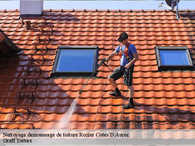 Nettoyage demoussage de toiture rozier-cotes-d-aurec-42380 Graff Toiture
