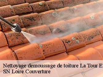 Nettoyage demoussage de toiture