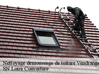 Nettoyage demoussage de toiture  42590