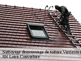 Nettoyage demoussage de toiture  42600