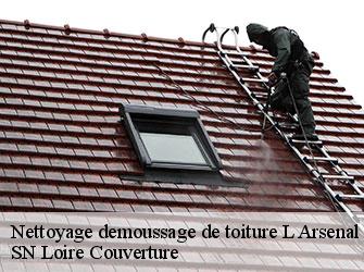 Nettoyage demoussage de toiture  42300