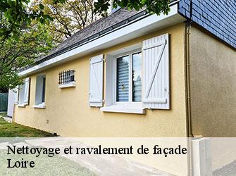 Nettoyage et ravalement de façade Loire