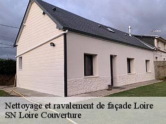 Nettoyage et ravalement de façade Loire