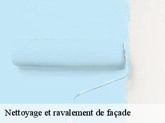 Nettoyage et ravalement de façade Loire
