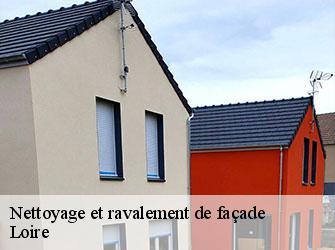 Nettoyage et ravalement de façade Loire