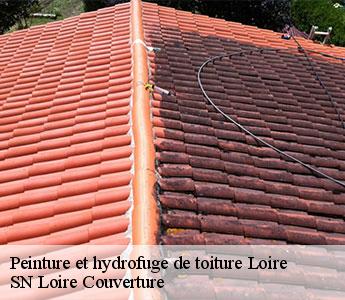 Peinture et hydrofuge de toiture 42 Loire SN Loire Couverture