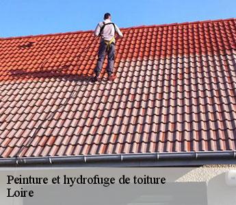 Peinture et hydrofuge de toiture Loire
