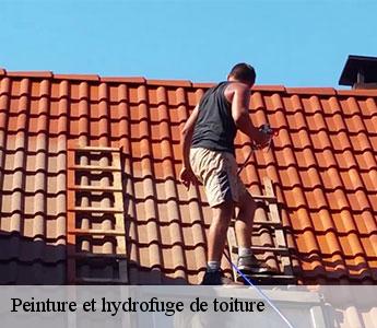 Peinture et hydrofuge de toiture