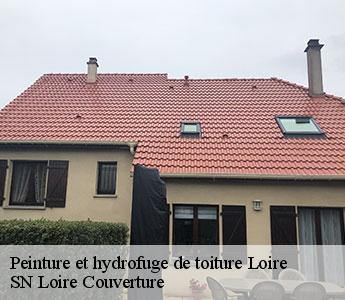 Peinture et hydrofuge de toiture Loire