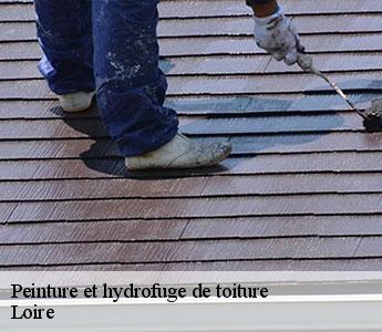 Peinture et hydrofuge de toiture