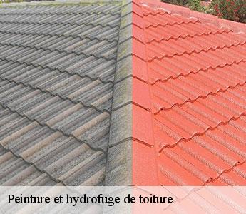 Peinture et hydrofuge de toiture Loire