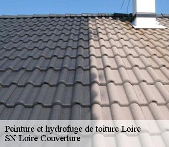 Peinture et hydrofuge de toiture