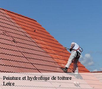 Peinture et hydrofuge de toiture Loire