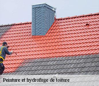 Peinture et hydrofuge de toiture