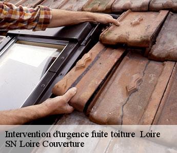 Intervention d'urgence fuite toiture 42 Loire SN Loire Couverture
