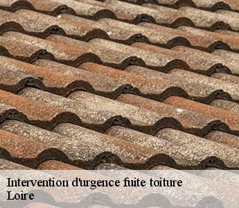 Intervention d'urgence fuite toiture Loire
