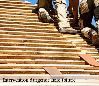 Intervention d'urgence fuite toiture