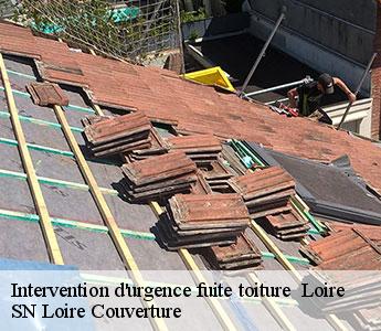 Intervention d'urgence fuite toiture Loire