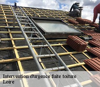 Intervention d'urgence fuite toiture