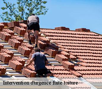 Intervention d'urgence fuite toiture Loire
