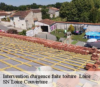Intervention d'urgence fuite toiture