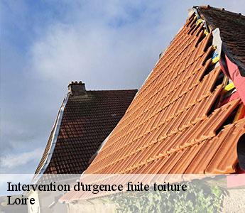 Intervention d'urgence fuite toiture Loire