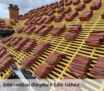 Intervention d'urgence fuite toiture