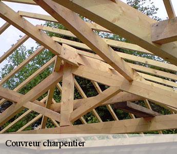 Couvreur charpentier 42123