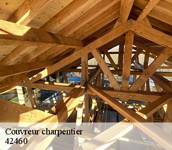 Couvreur charpentier 42460