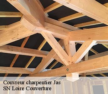 Couvreur charpentier