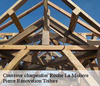 Couvreur 42 Loire Pierre Rénovation Toiture