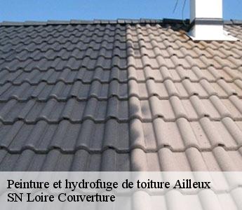 Peinture et hydrofuge de toiture