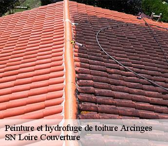Peinture et hydrofuge de toiture arcinges-42460 SN Loire Couverture