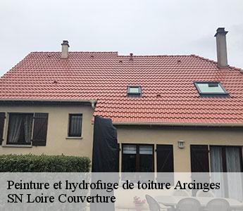 Peinture et hydrofuge de toiture 42460