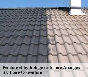 Peinture et hydrofuge de toiture