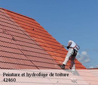 Peinture et hydrofuge de toiture 42460