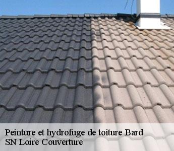 Peinture et hydrofuge de toiture