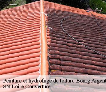 Peinture et hydrofuge de toiture  bourg-argental-42220 SN Loire Couverture 
