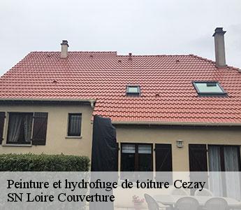 Peinture et hydrofuge de toiture  42130