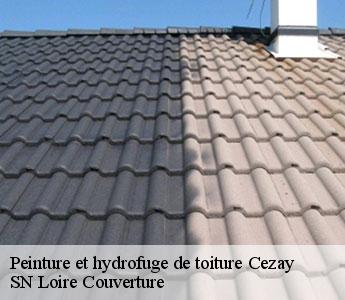 Peinture et hydrofuge de toiture