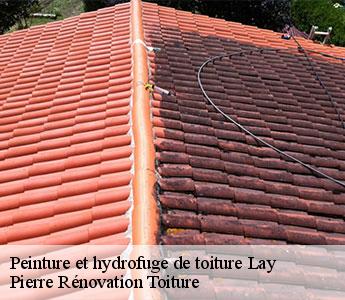 Couvreur 42 Loire Pierre Rénovation Toiture