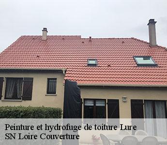 Peinture et hydrofuge de toiture 42260